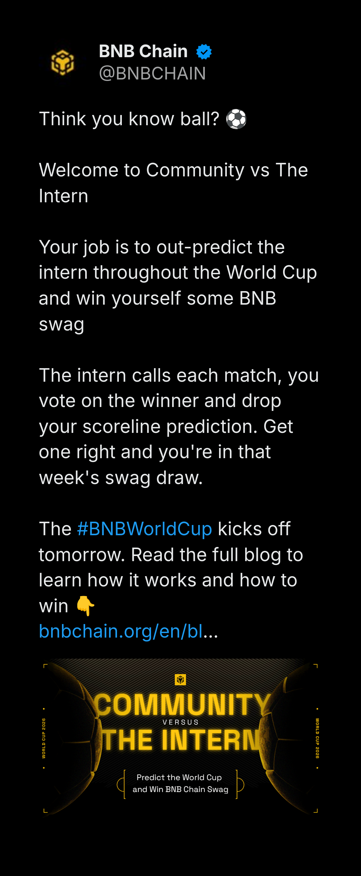 BNB Chain 'Community vs The Intern' World Cup prediction game