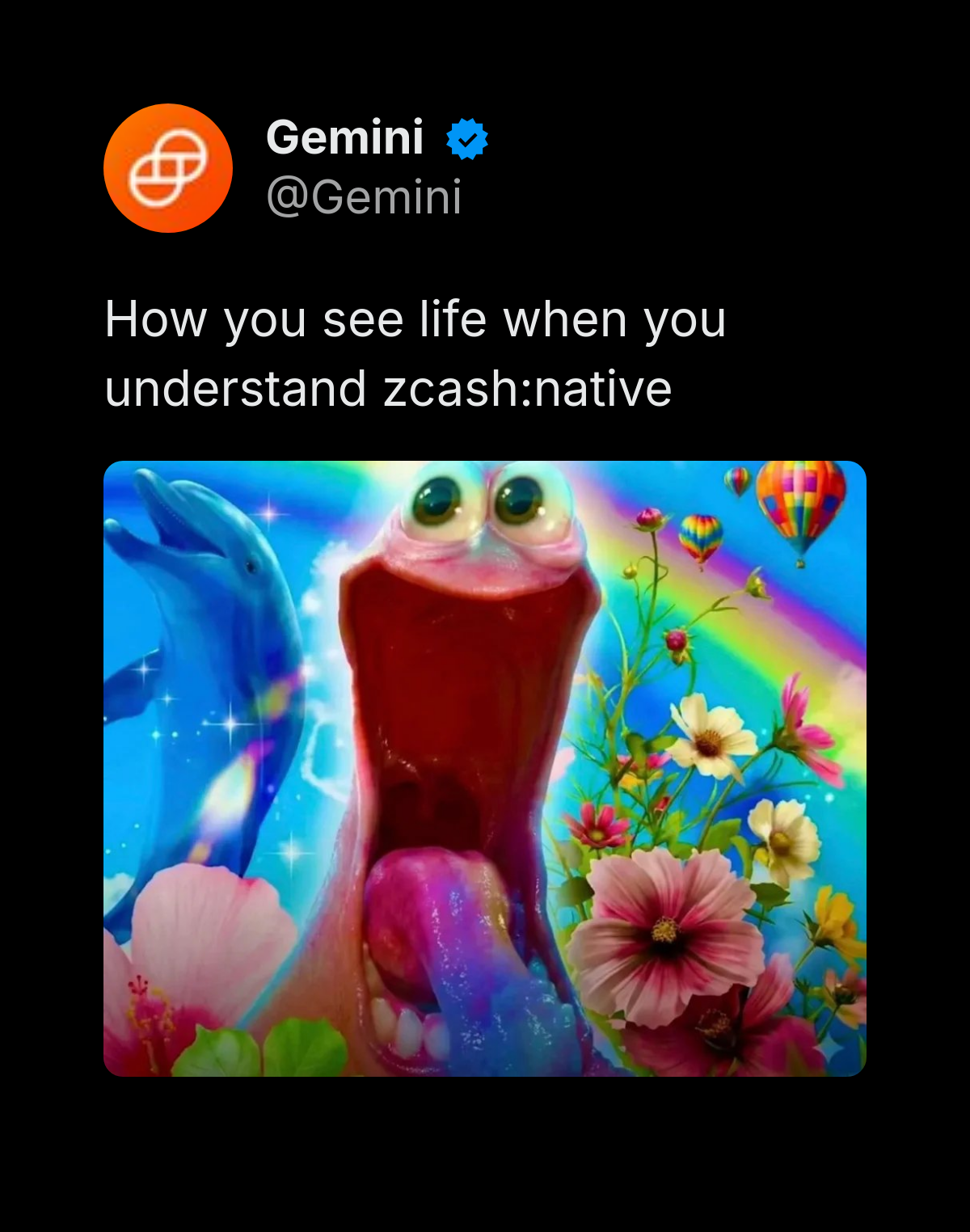 Gemini 'how you see life when you understand $ZEC' Zcash meme